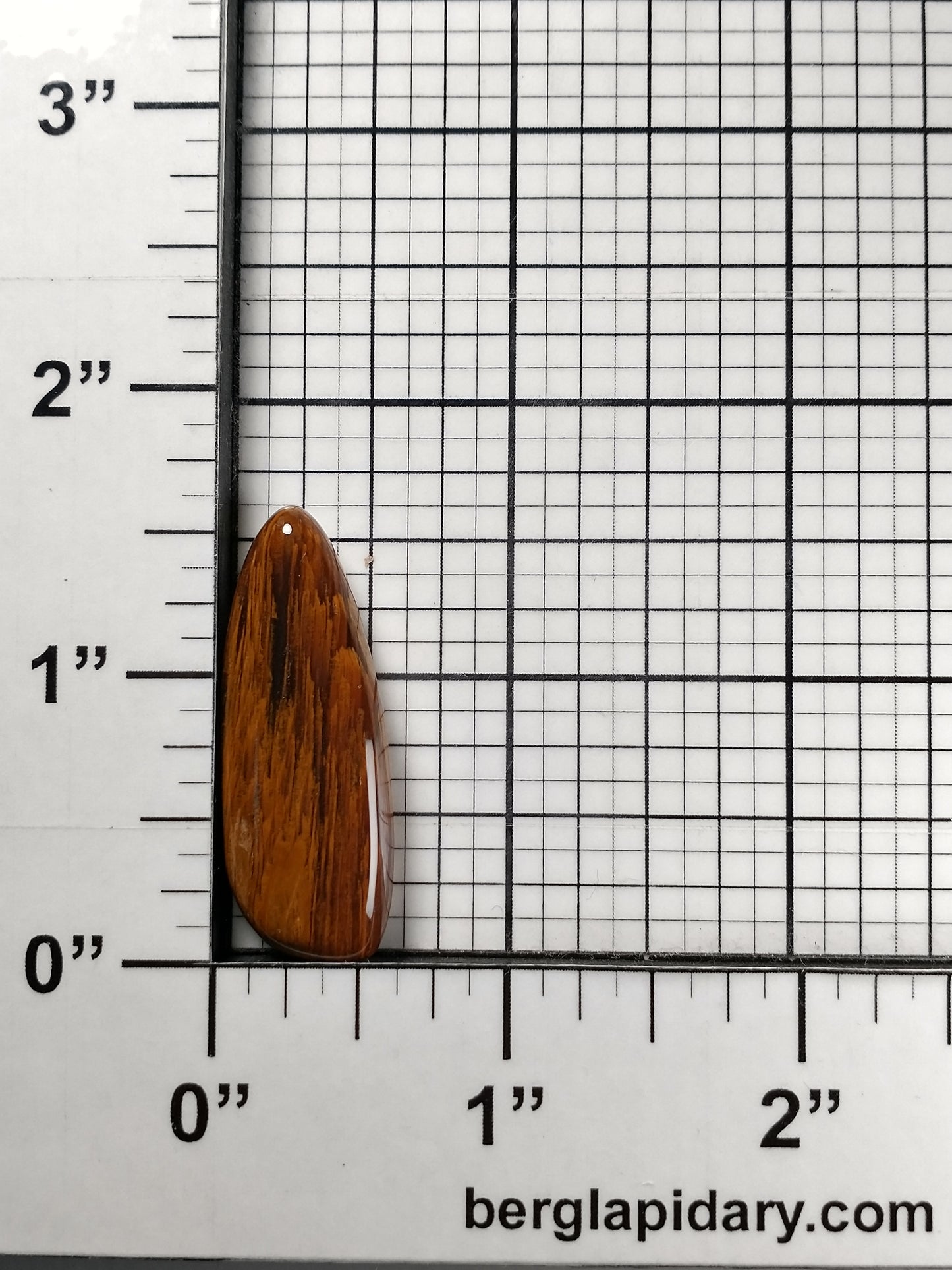 Petrified Wood Cabochon Medium
