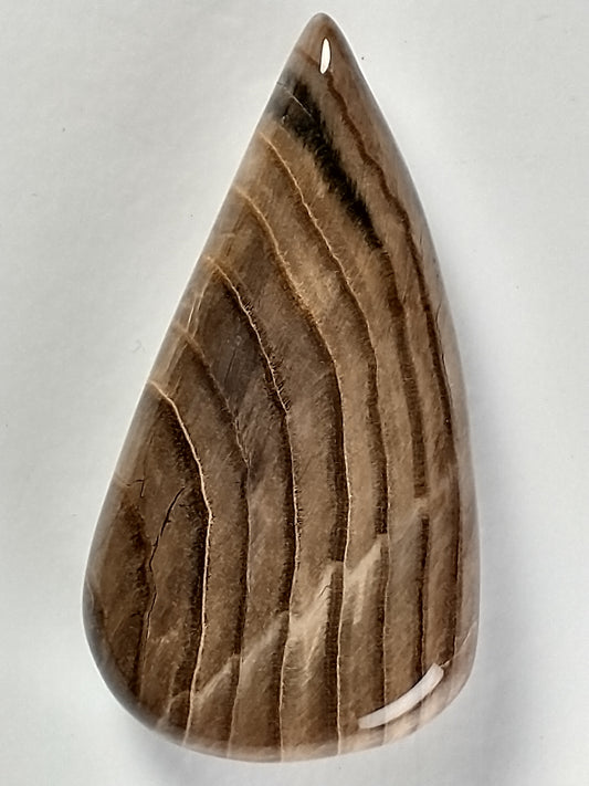 Petrified Wood Cabochon Medium