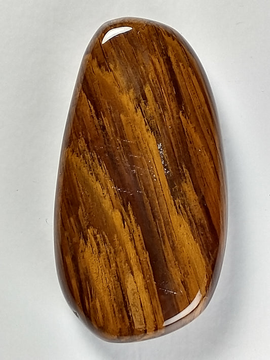 Petrified Wood Cabochon Medium