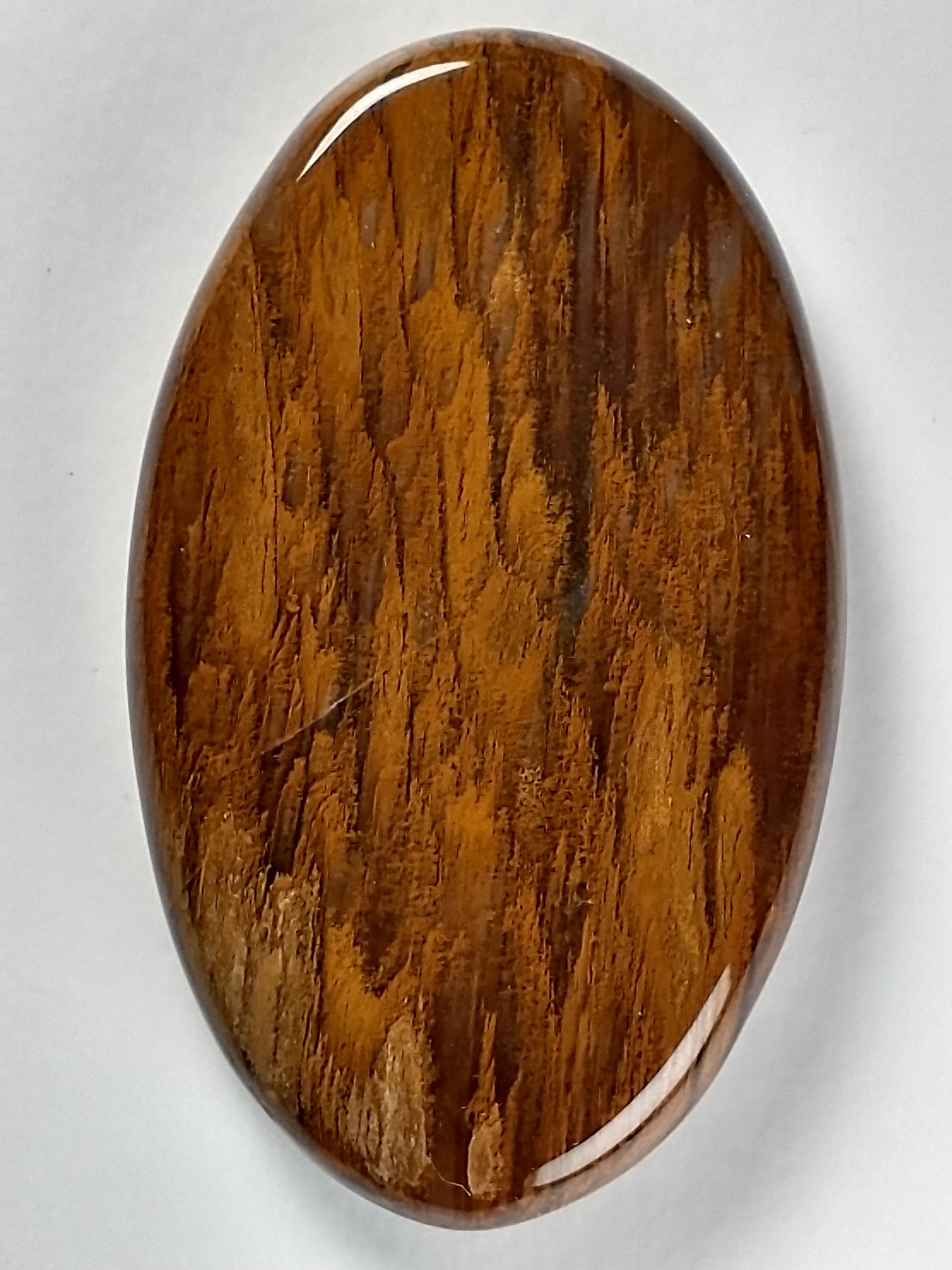 Petrified Wood Cabochon Large