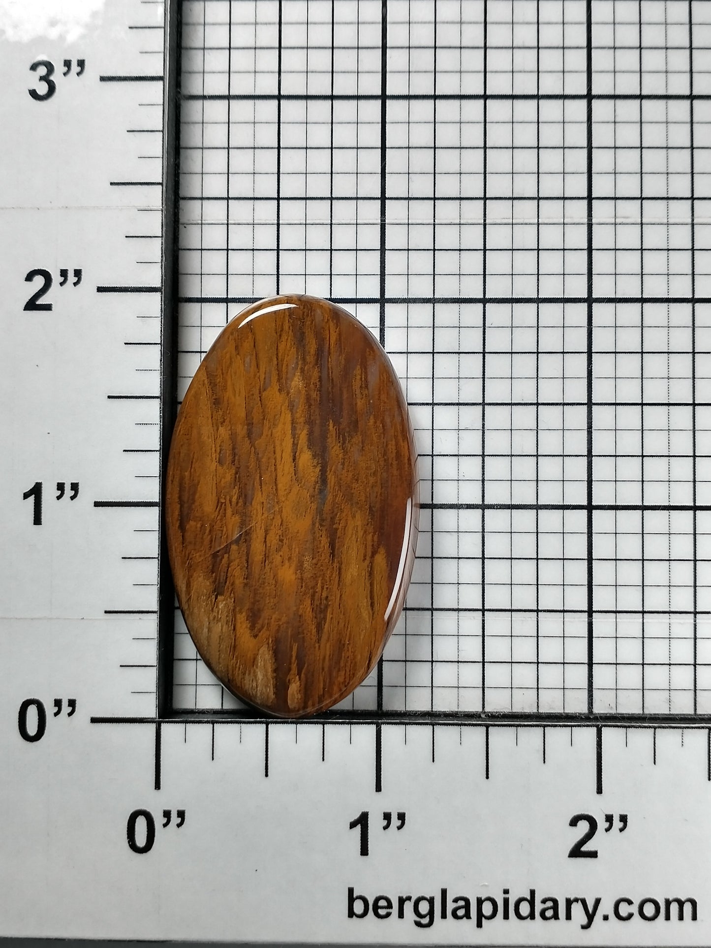 Petrified Wood Cabochon Large