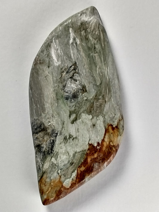 Petrified Wood Cabochon Large