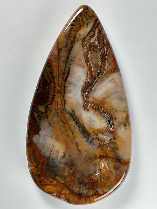 Petrified Wood Cabochon Large