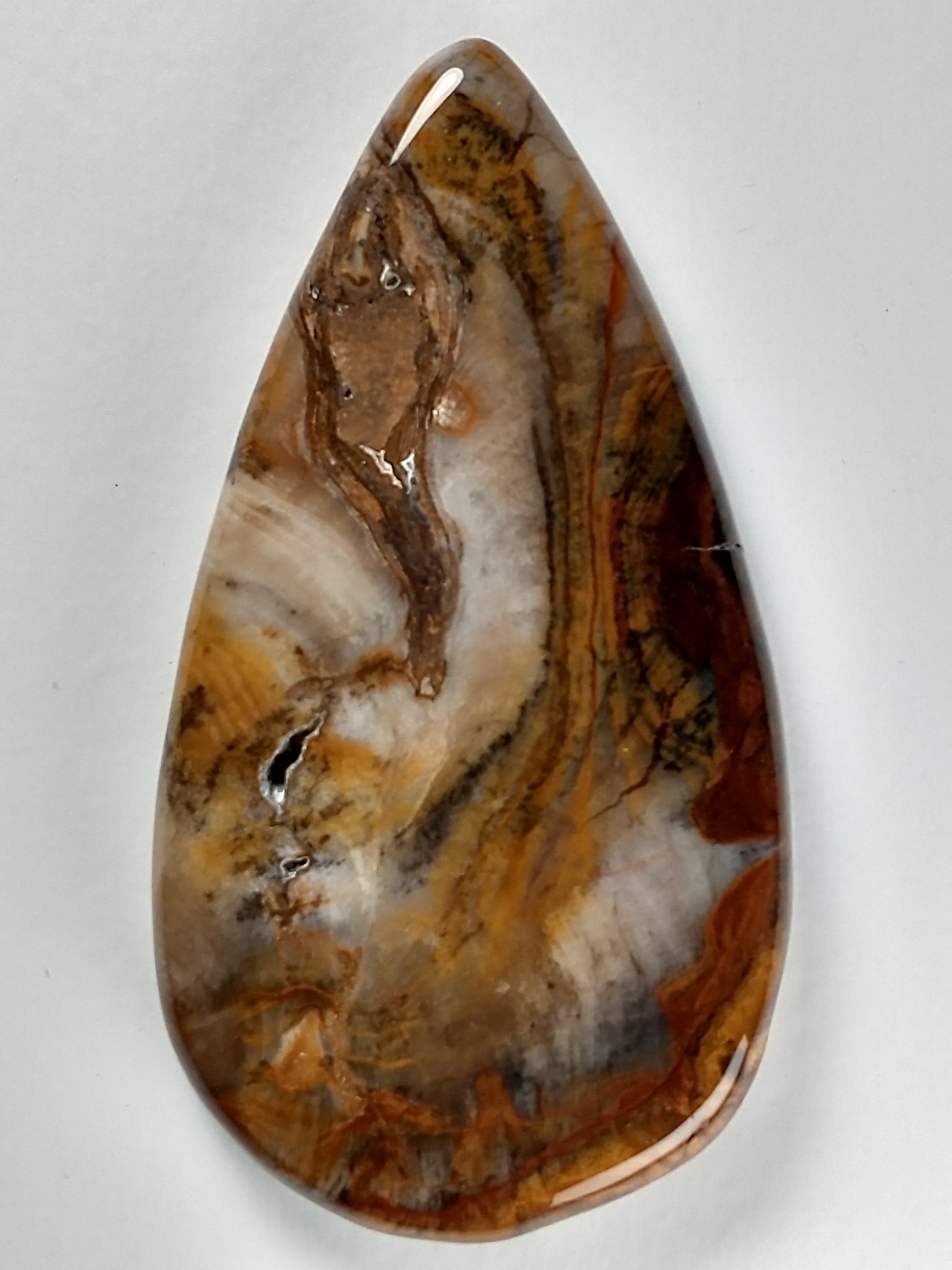Petrified Wood Cabochon Large