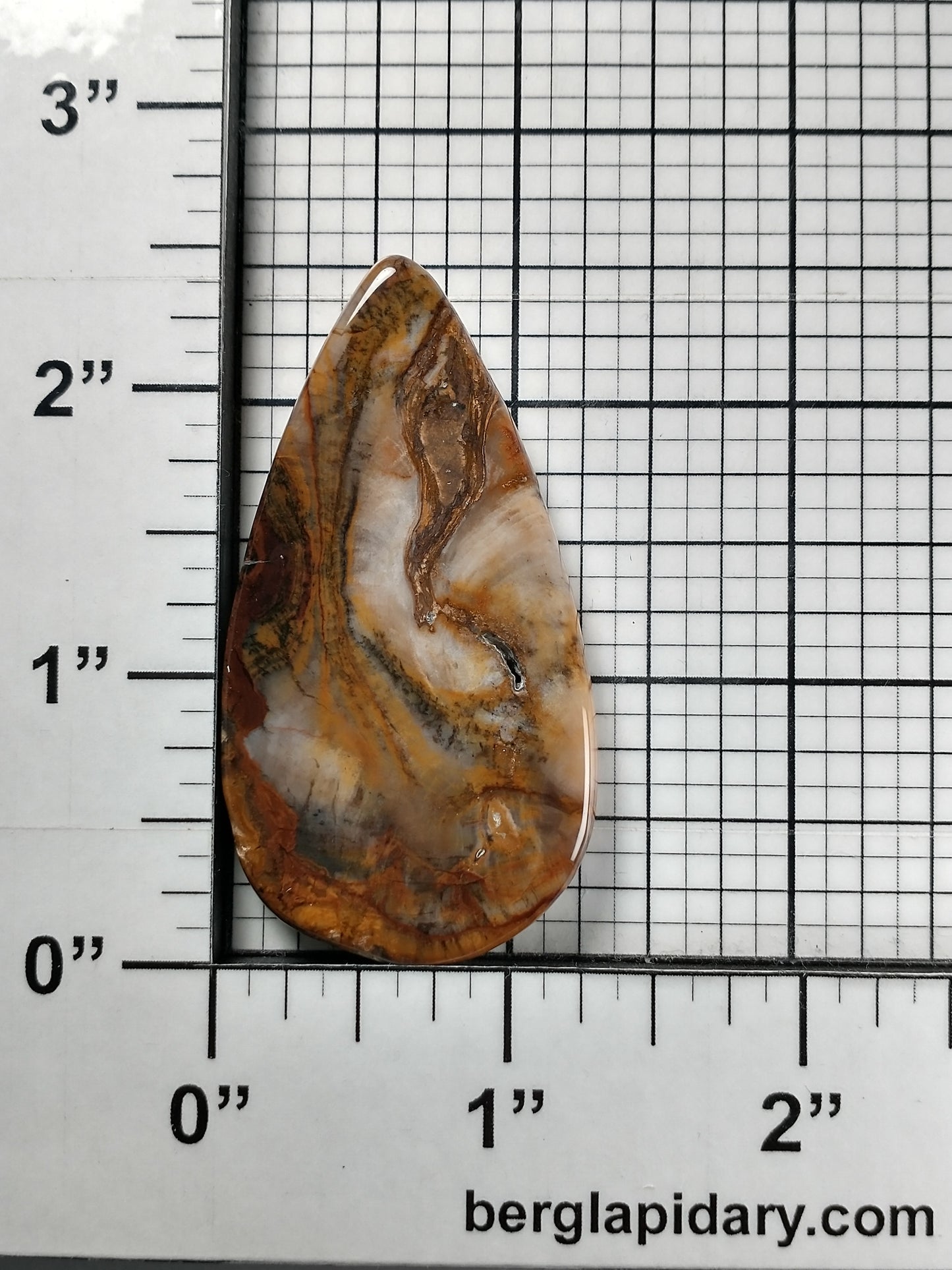 Petrified Wood Cabochon Large
