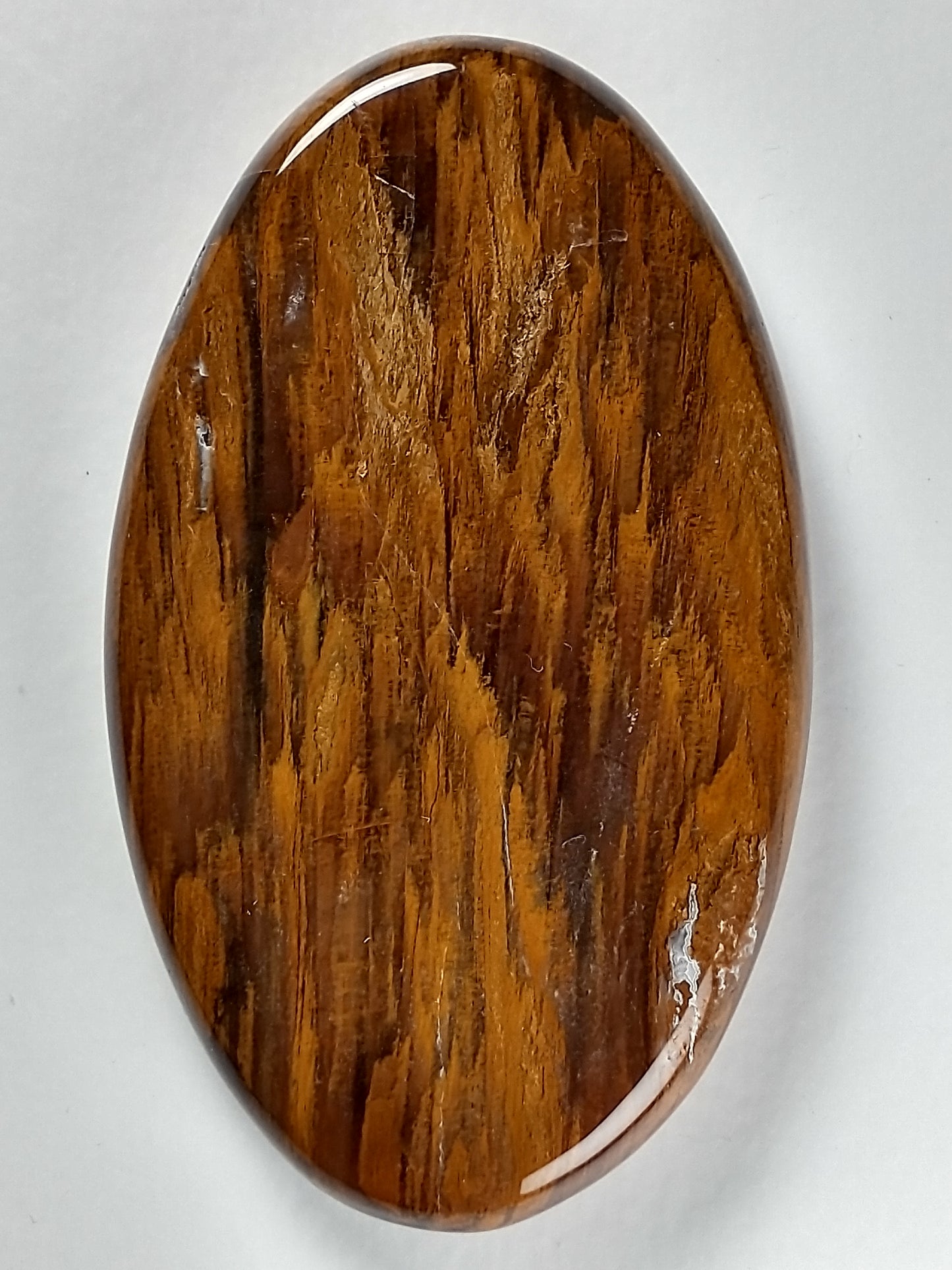 Petrified Wood Cabochon Large