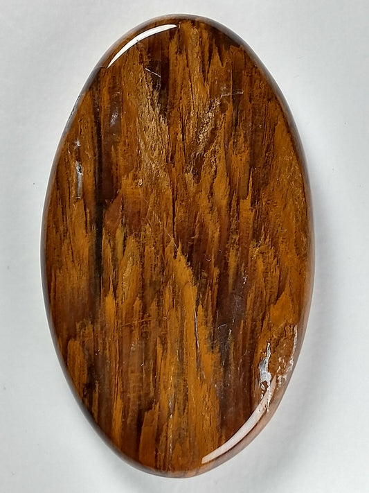Petrified Wood Cabochon Large