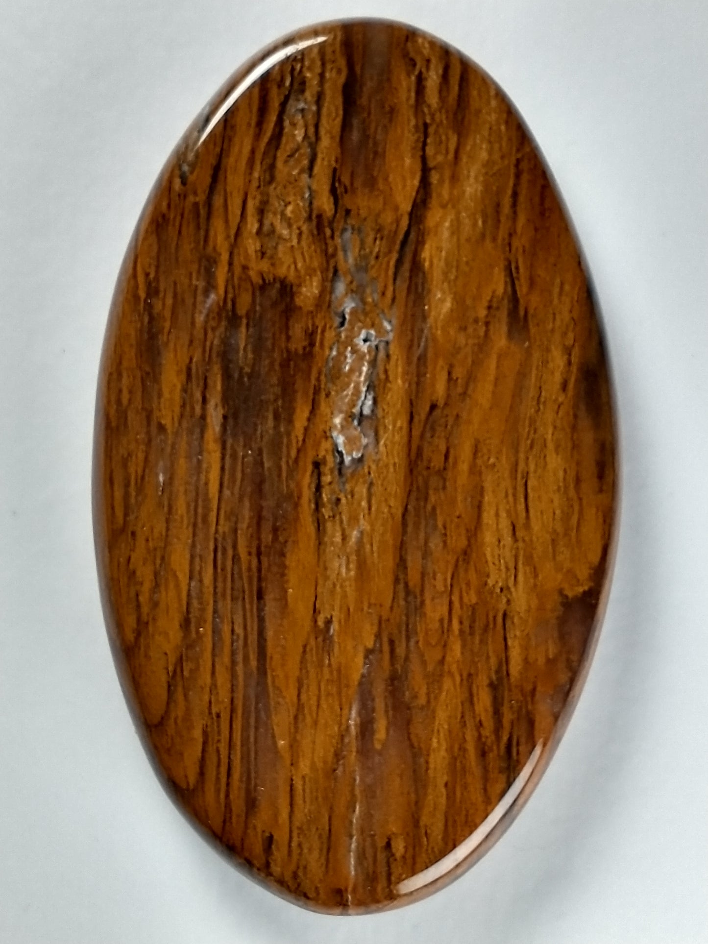 Petrified Wood Cabochon Large