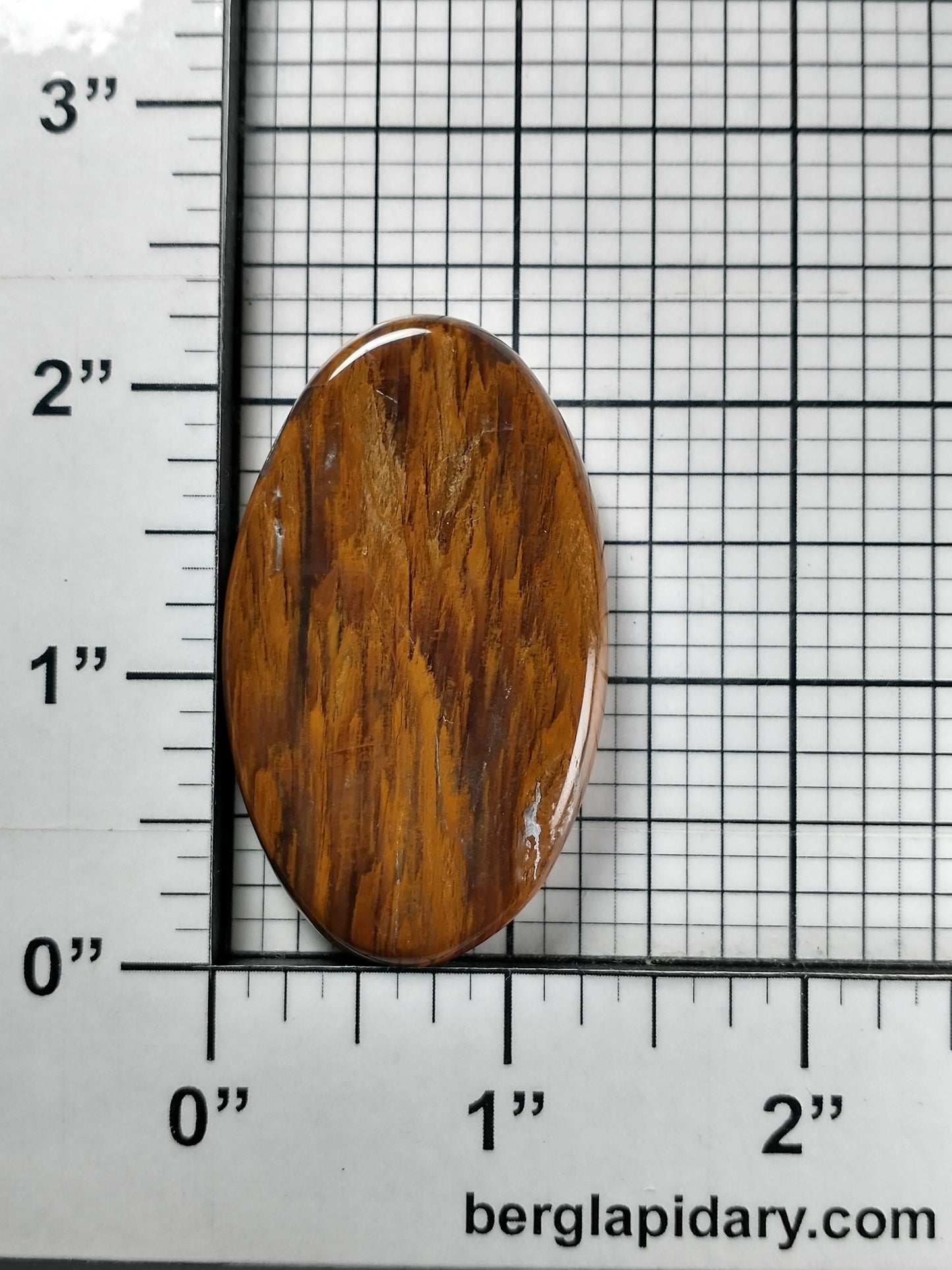 Petrified Wood Cabochon Large