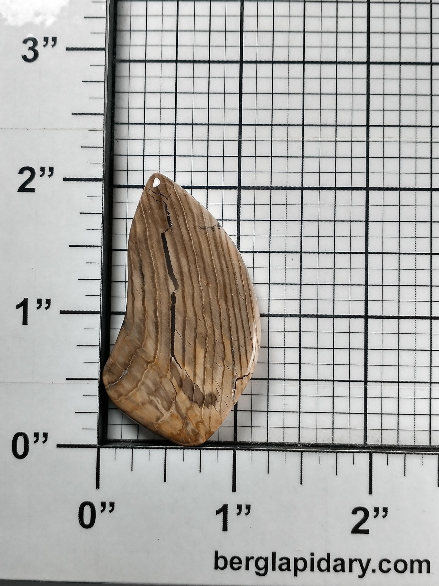 Petrified Wood Cabochon Large