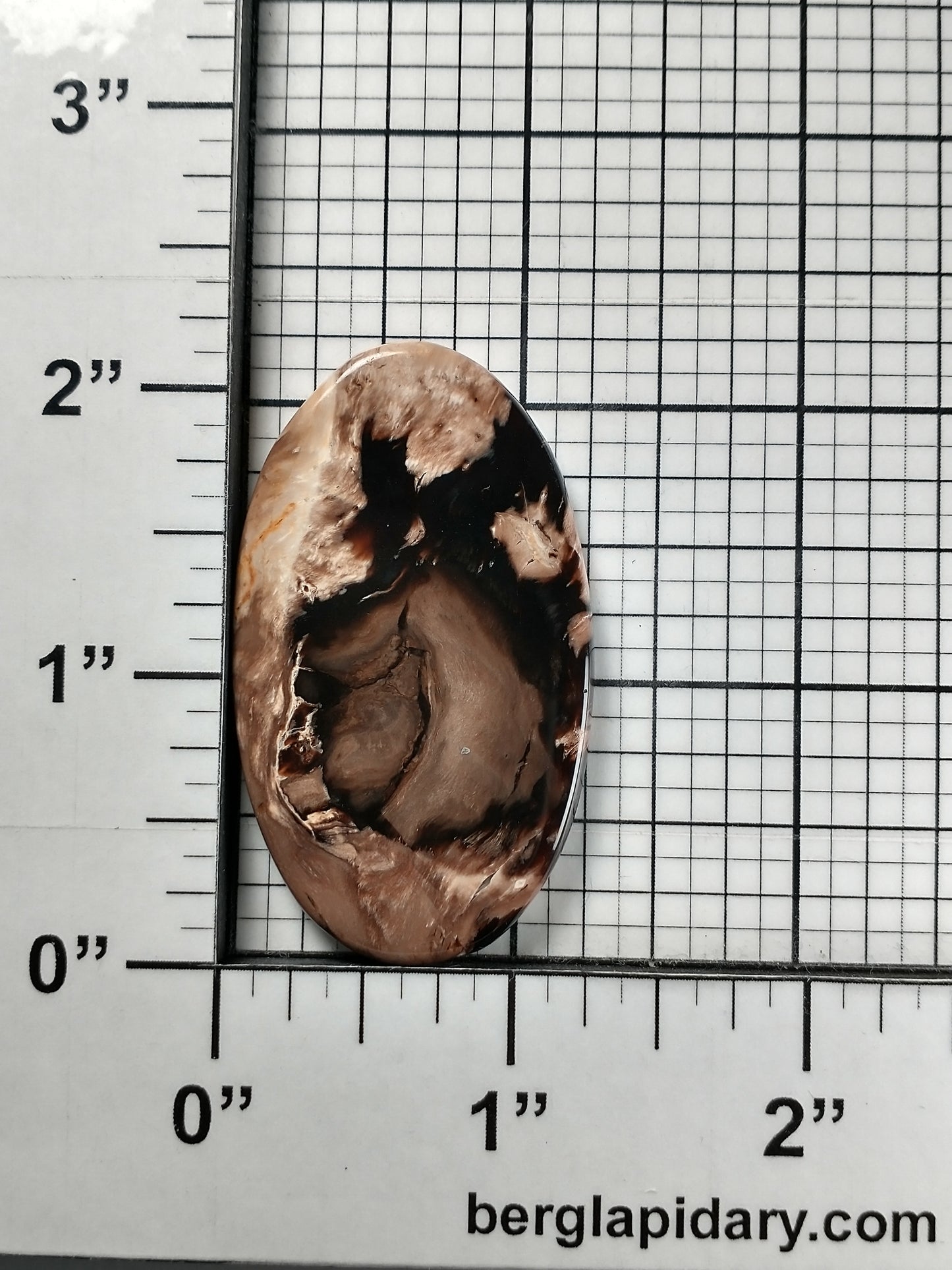 Petrified Wood Cabochon Large