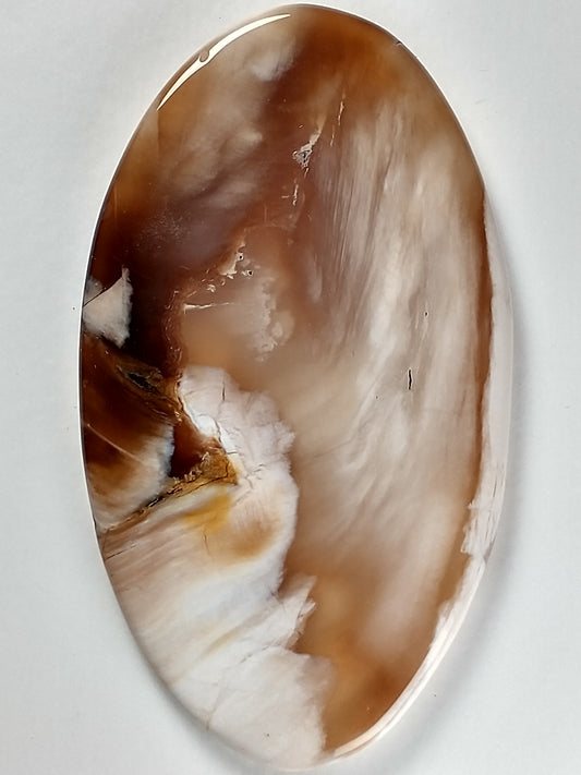 Petrified Wood Cabochon Large