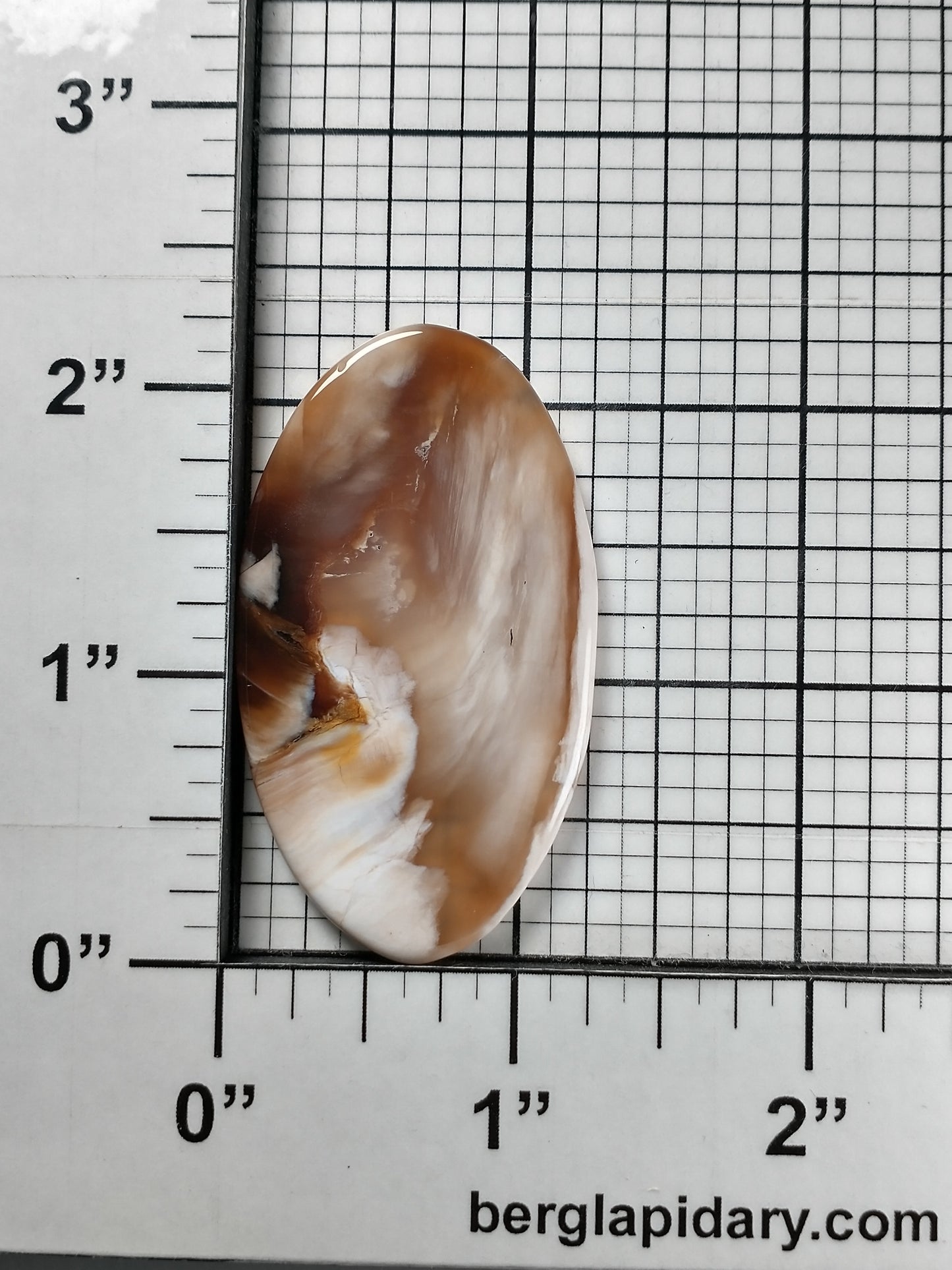Petrified Wood Cabochon Large