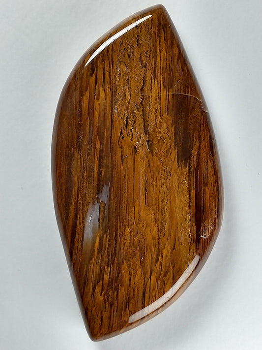Petrified Wood Cabochon X Large