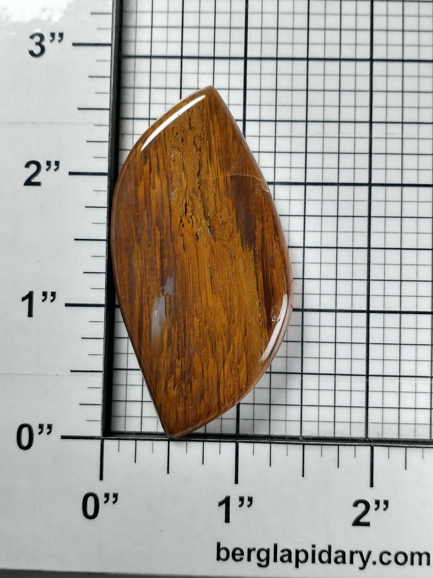 Petrified Wood Cabochon X Large
