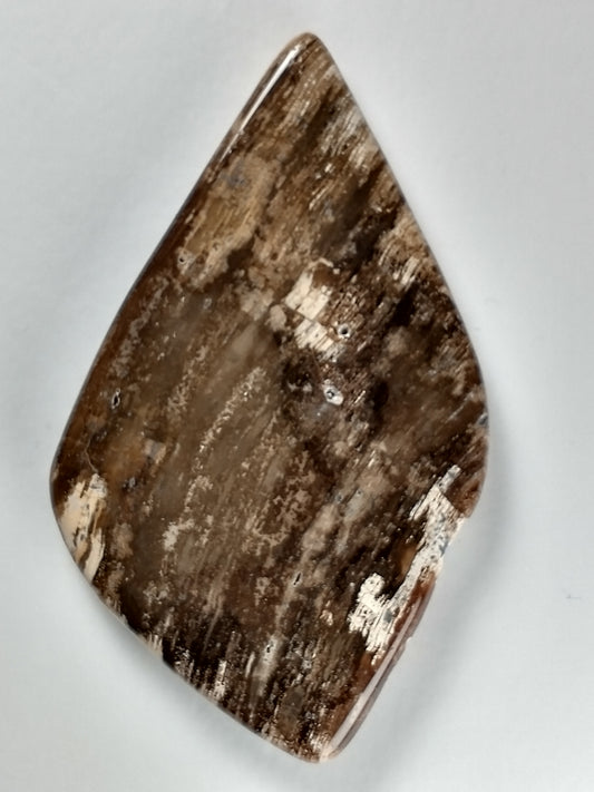 Petrified Wood Cabochon X Large