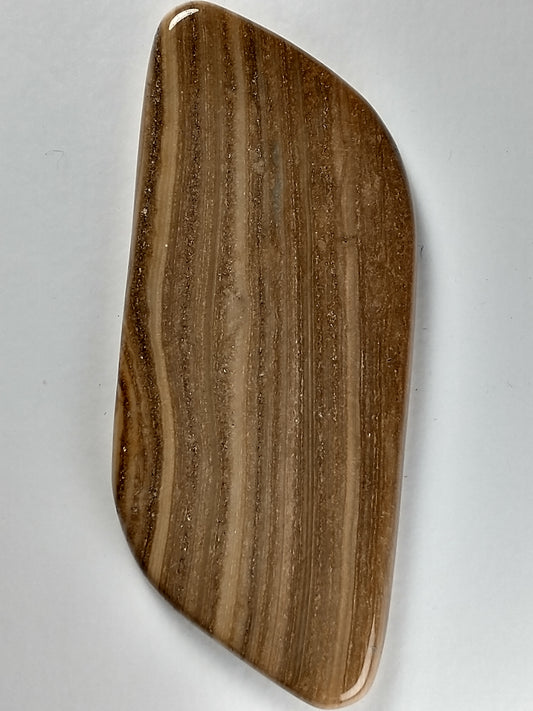Petrified Wood Cabochon X Large