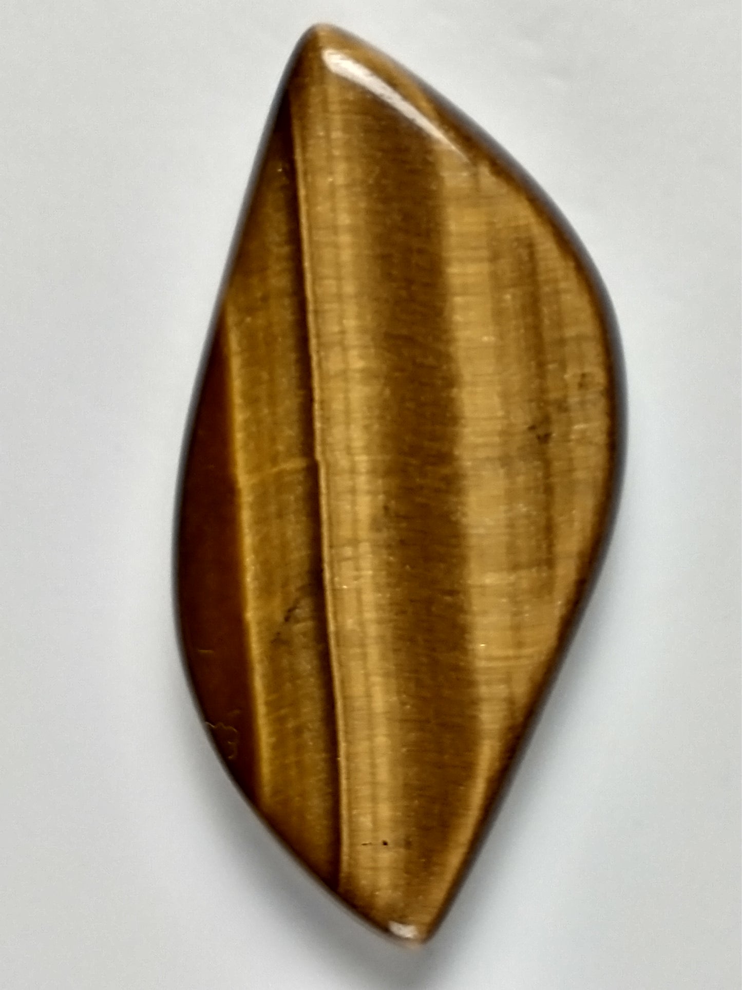 Tiger Eye Gold Cabochon Medium