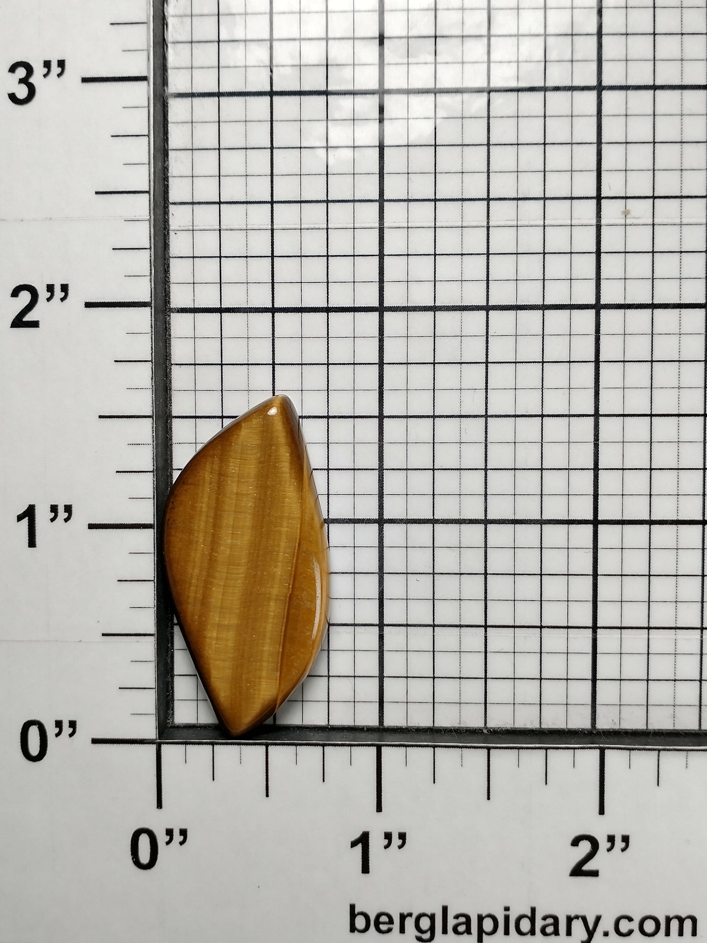 Tiger Eye Gold Cabochon Medium