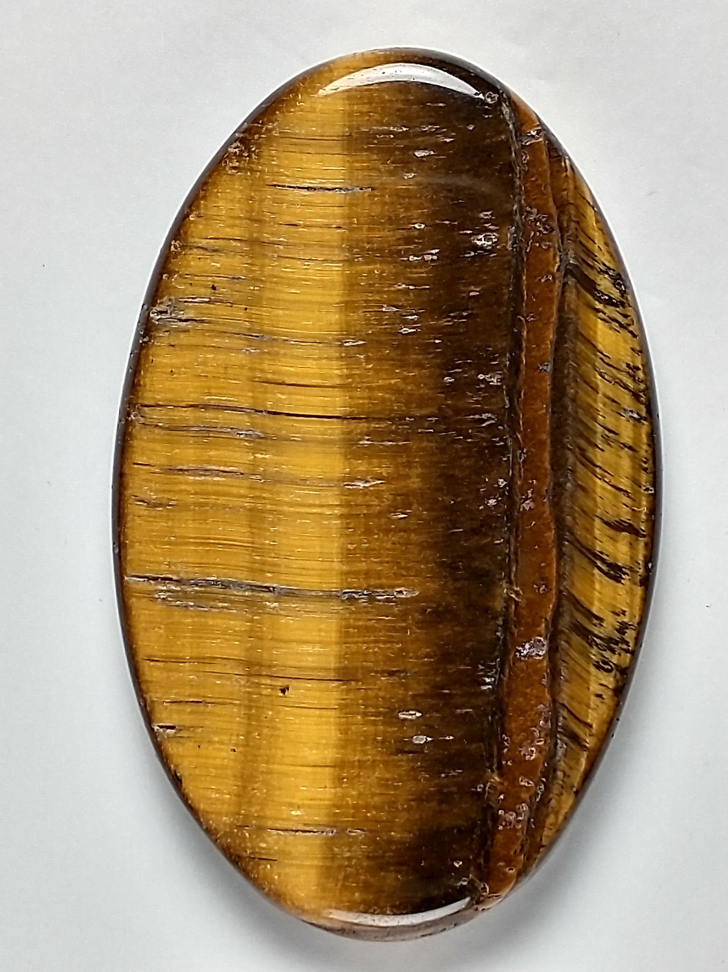 Tiger Eye Gold Cabochon Medium
