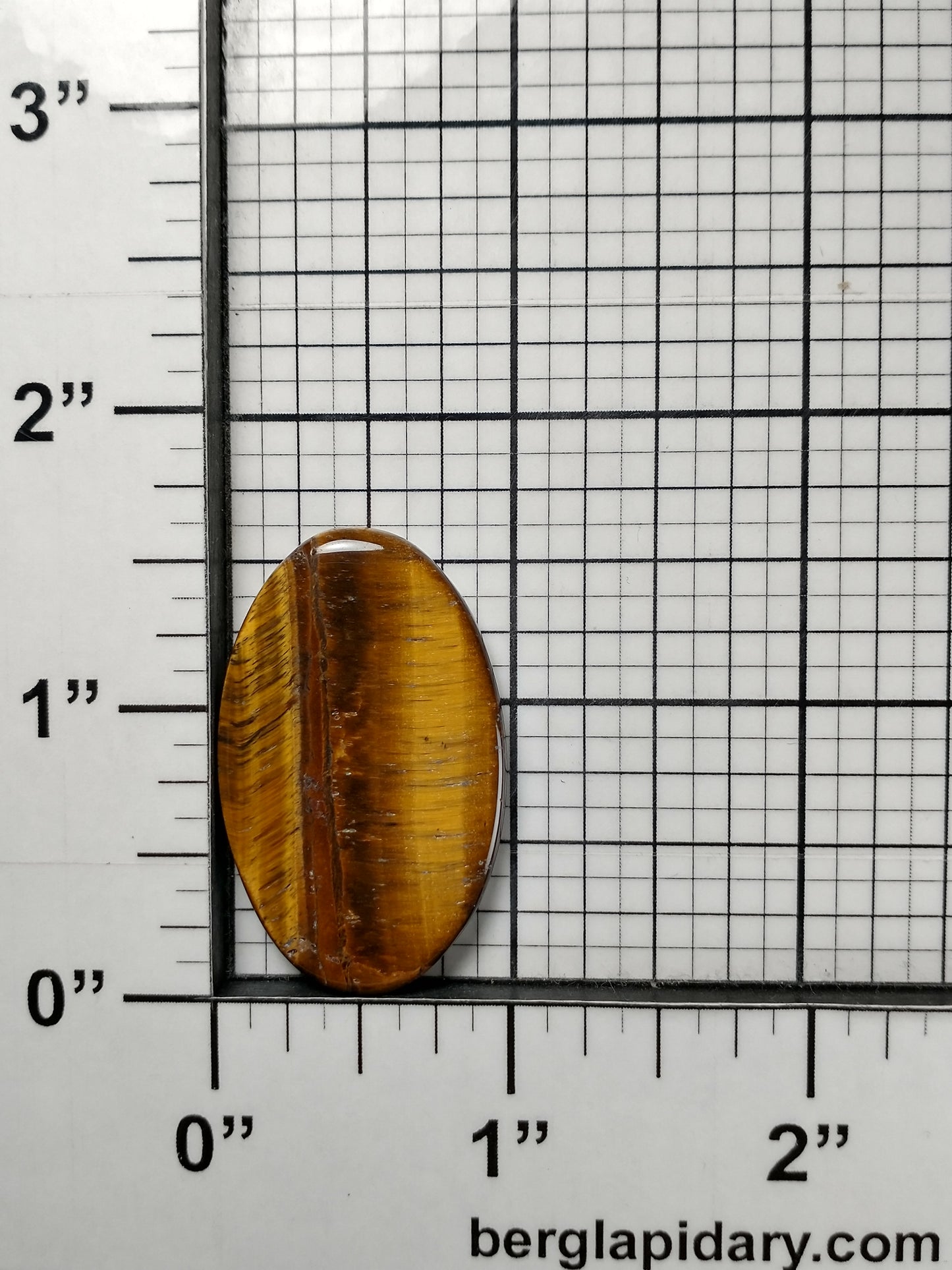 Tiger Eye Gold Cabochon Medium