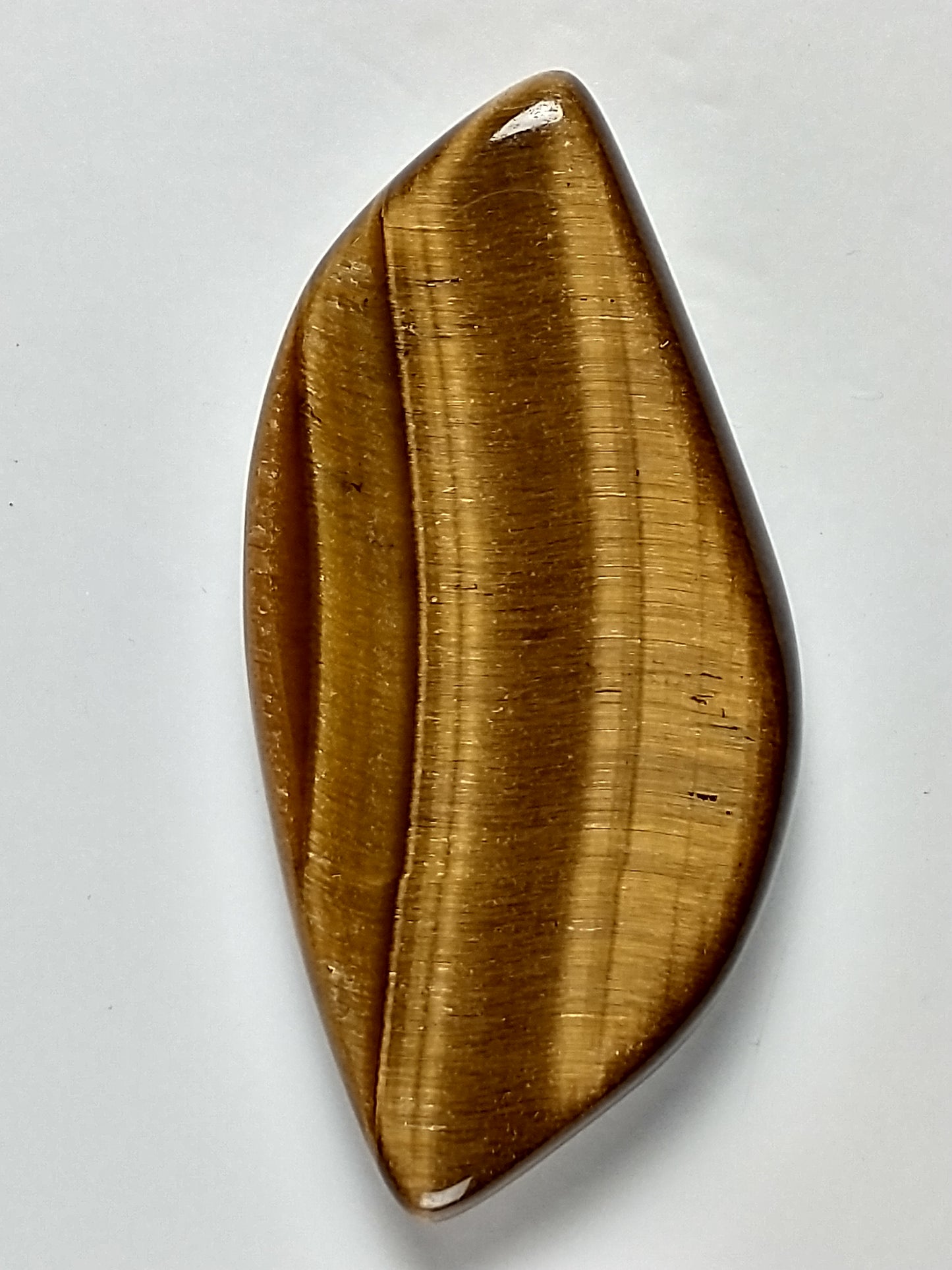 Tiger Eye Gold Cabochon Medium