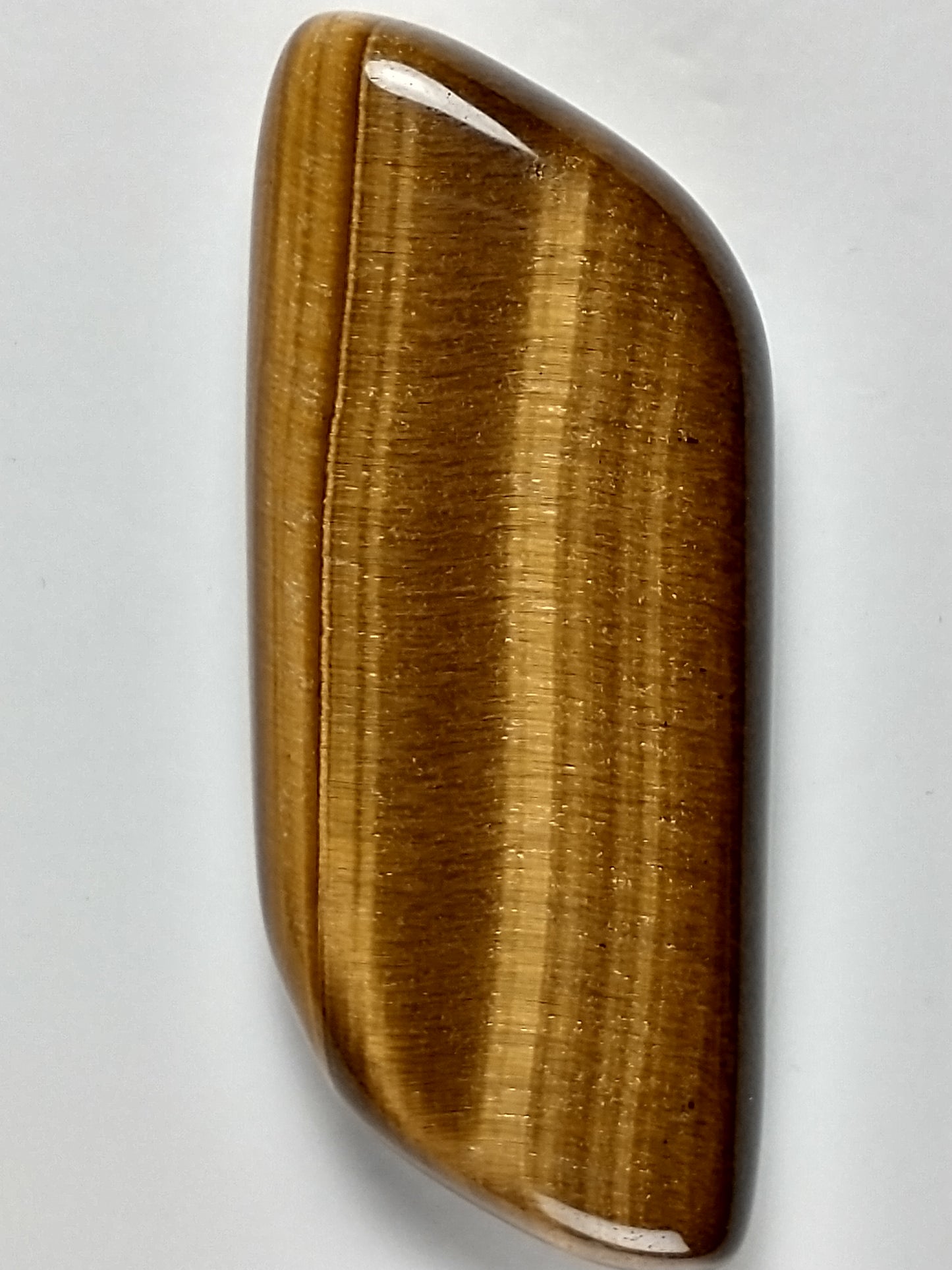 Tiger Eye Gold Cabochon Medium