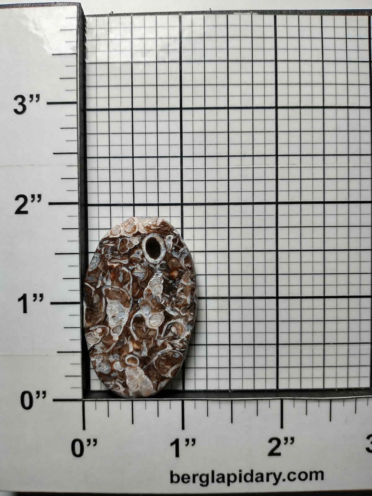 Turritella Agate Fossil Cabochon Medium