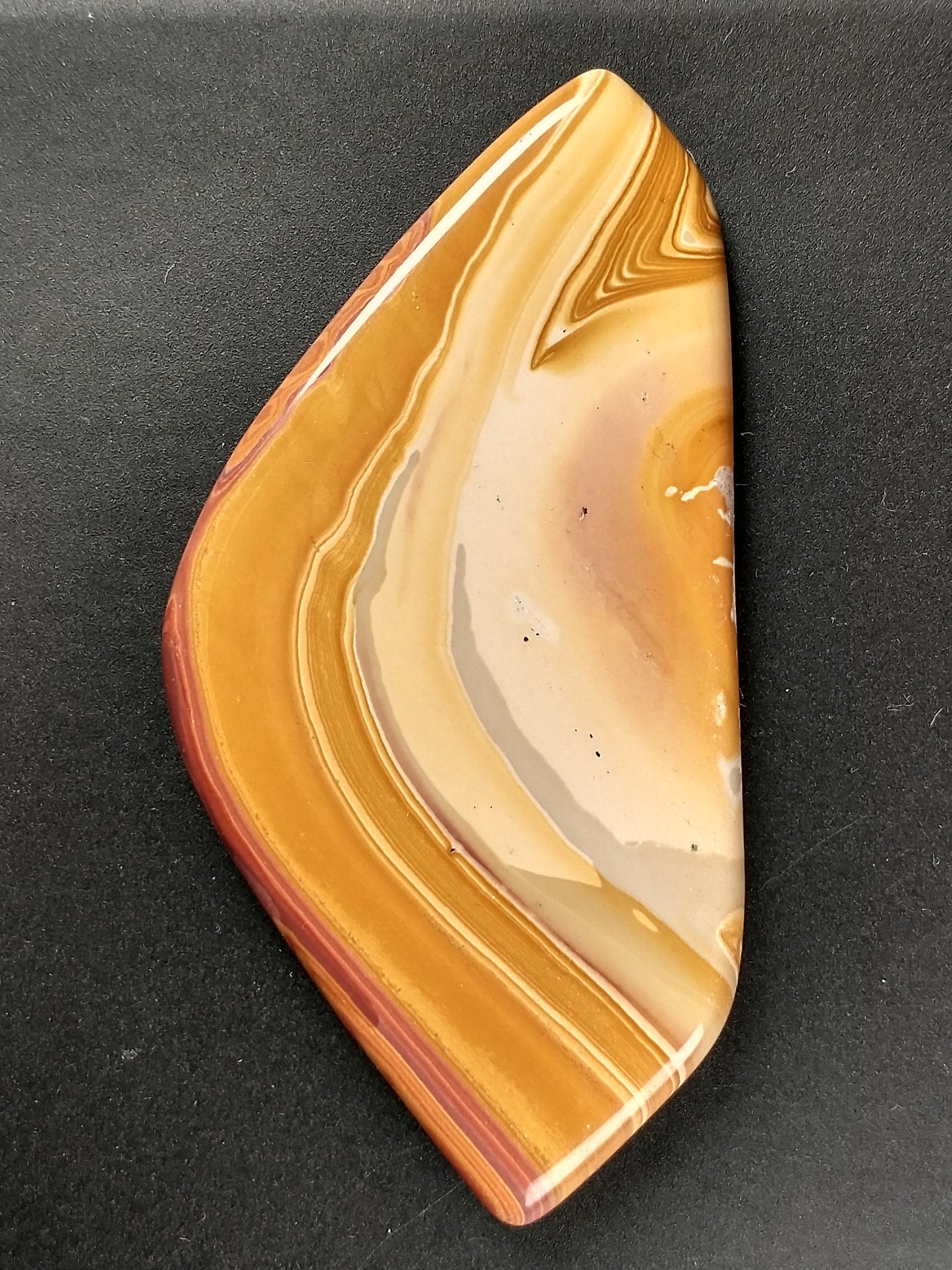 Wonderstone Cabochon X Large